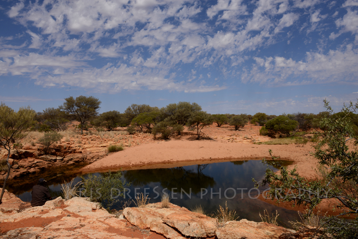 Dingo Pool