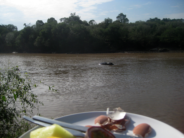 eating breakfast watching hippos