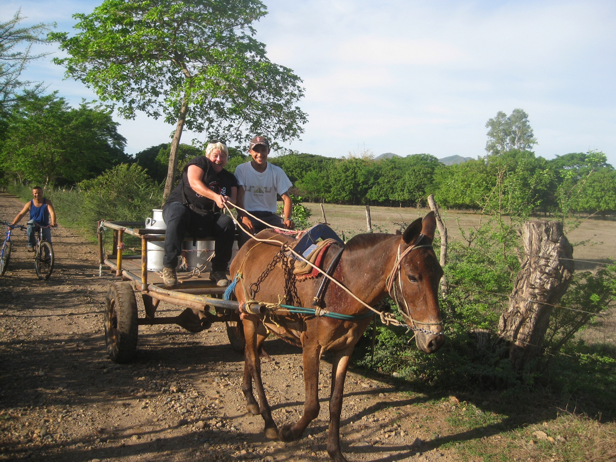 bringing the milk cart into town