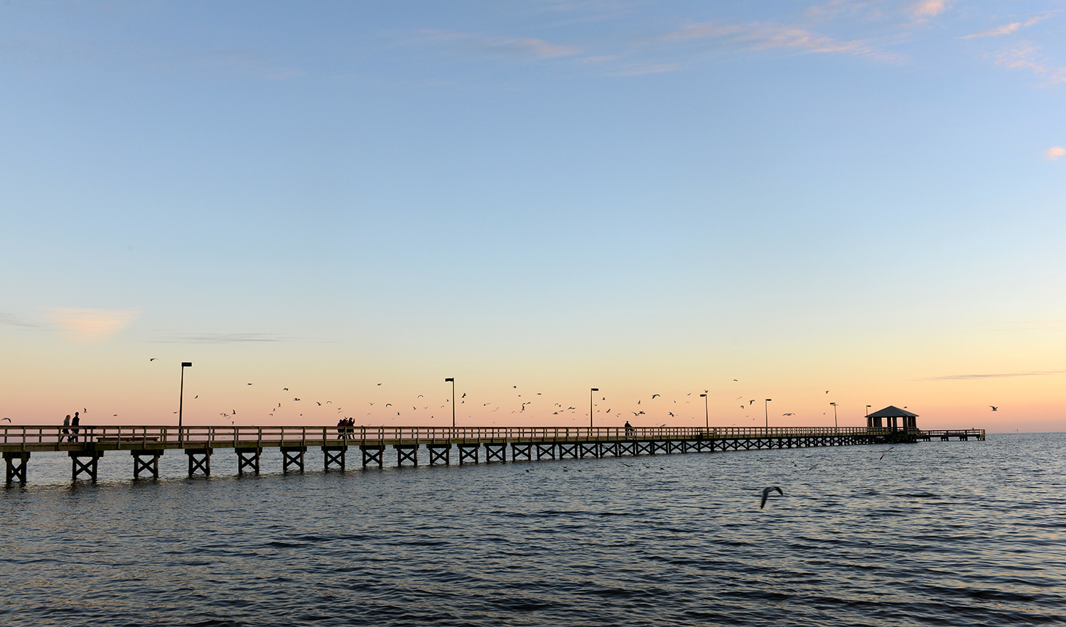 students I am writing about volunteering walking the pier at the beach